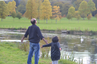 Picture of Sunshine, Longleat