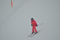 Picture of Switzerland, Jungfraujoch