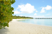 Picture of Maldives