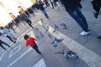 Picture of Child, Duomo di Milano, Milan