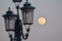 Picture of Venice, Moon